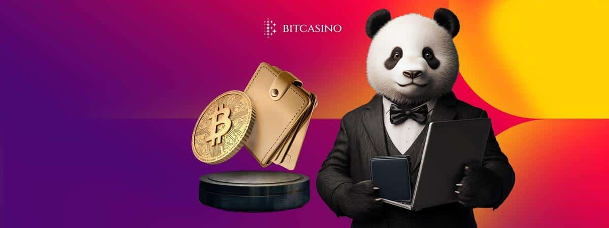 Top picks: Find the best crypto wallet for gambling